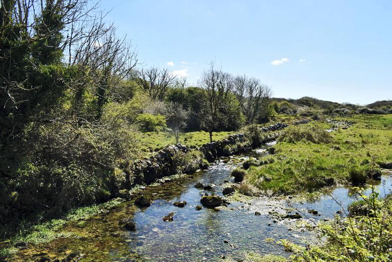 All catchments bar one closer to meeting nitrates target – EPA 