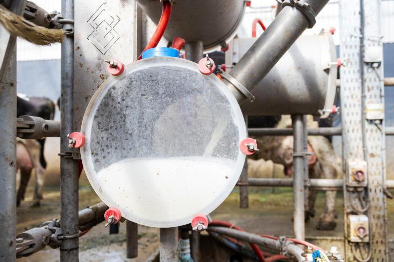 Record milk volumes on the cards