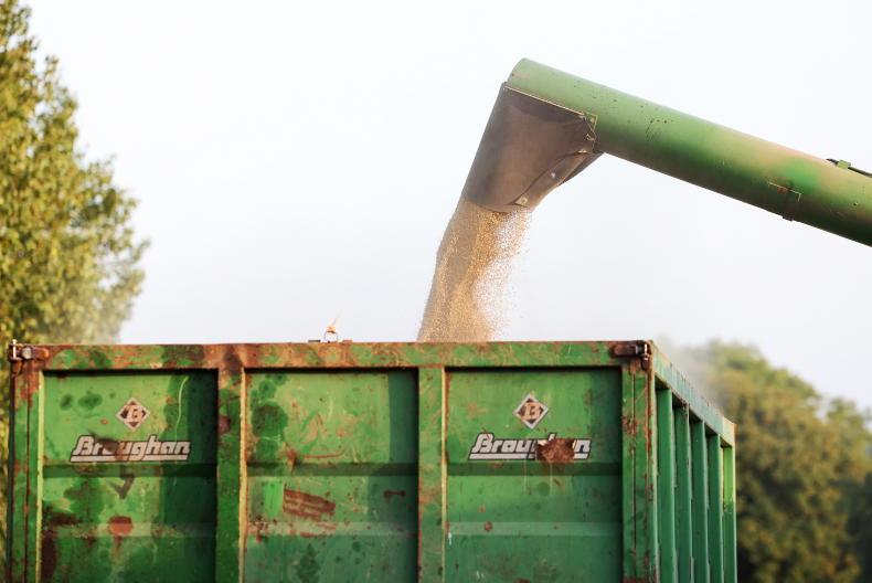 Grain Trends: big crops and dropping prices