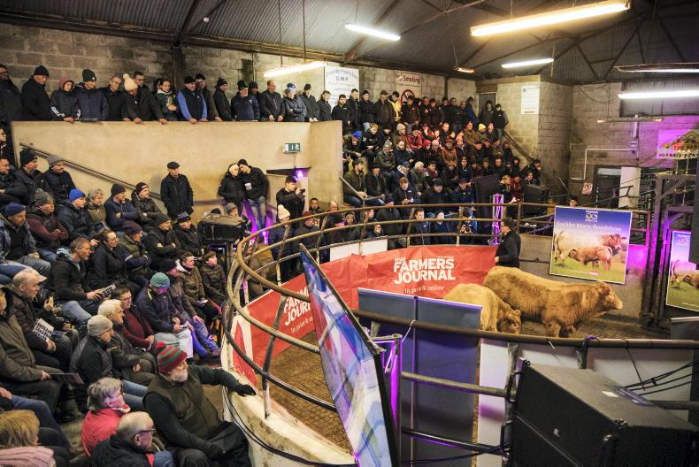 Mart demonstrations in Galway and Kerry next week