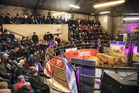 Mart demonstrations in Galway and Kerry next week