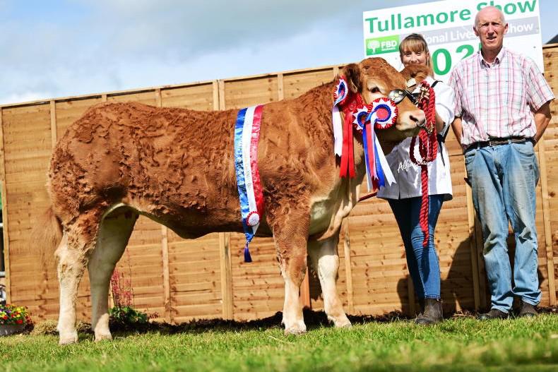 National Limousin title goes to the Wee County