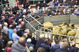 News round-up from Northern Ireland