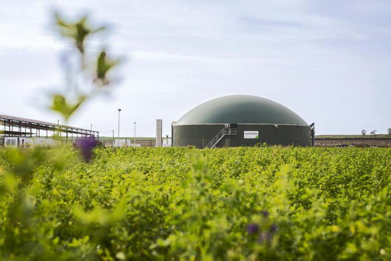 Plans submitted for Kildare biomethane plant 