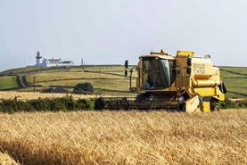 Tillage Podcast: all you need to know about oilseed rape and a harvest update