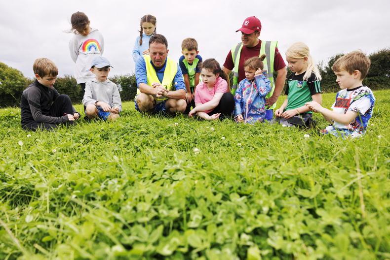 Watch: this week in photos as Tullamore Show shines and farmers prepare fields
