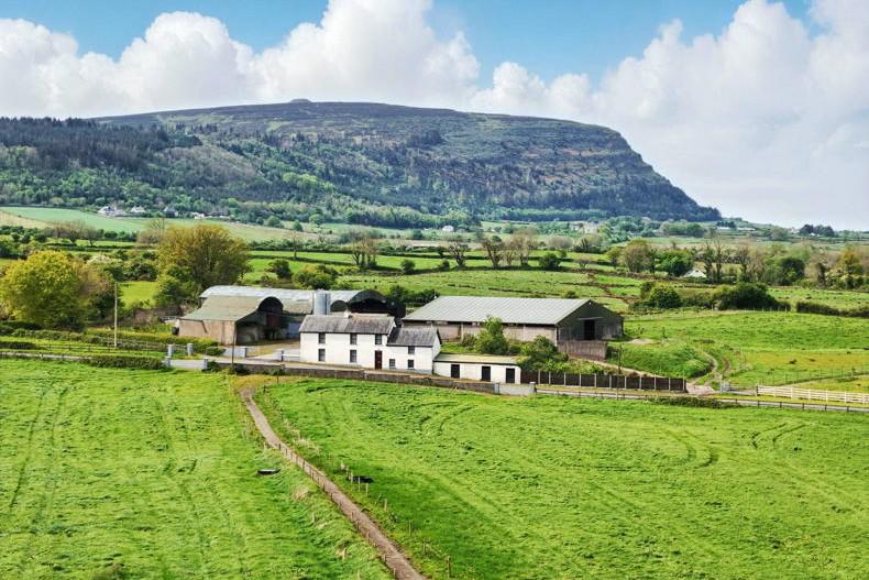 Stunning 50ac Sligo farm – ‘a rare gem’ heading for auction   