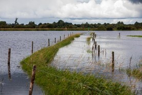 Six research projects receive funding for climate and flood forecasting 
