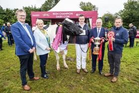 Excitement builds ahead of Baileys Champion Cow Competition  
