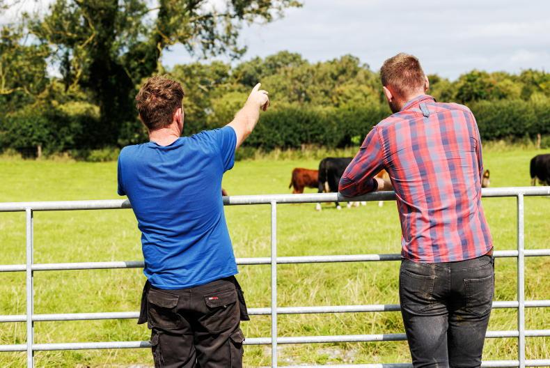 Collaborative farming options are on the increase