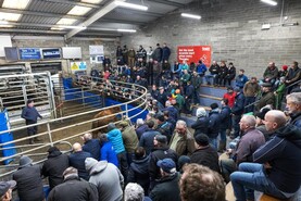 Kerry cuts July milk price            
