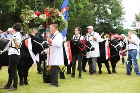 Iverk Show to stage mouth-watering €36,000 bull calf championships
