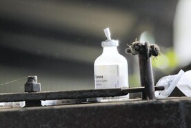 Department must sort out vaccine 'availability glitches' - ICMSA