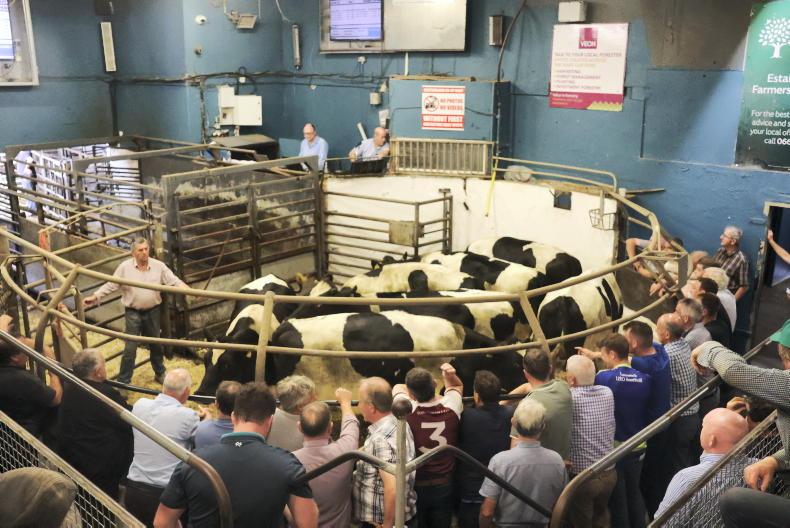 In pictures: serious prices at Castleisland store sale