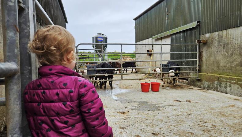 Farmer Writes: always learning on the farm