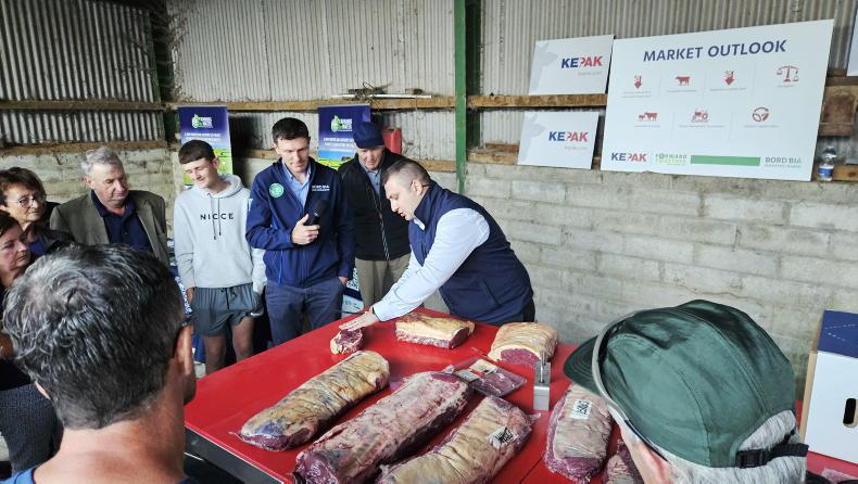 Irish beef prices are 12% ahead of Europe's average 