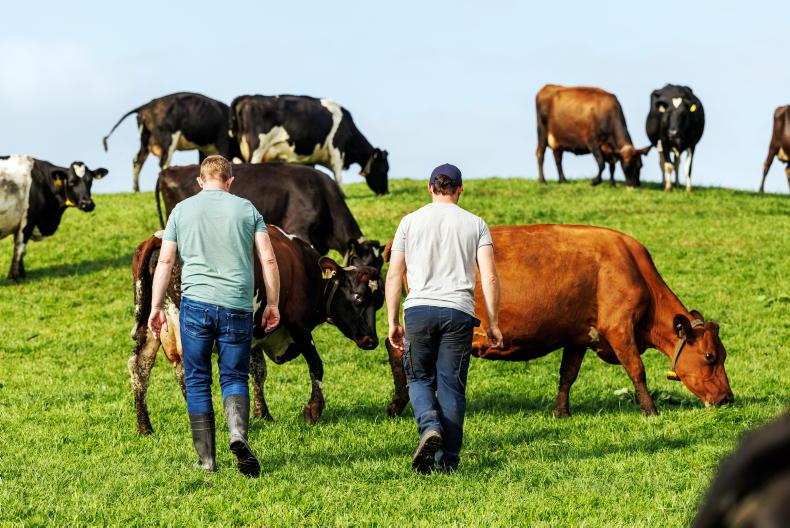 Succession: solutions to low and rollercoaster farm incomes
