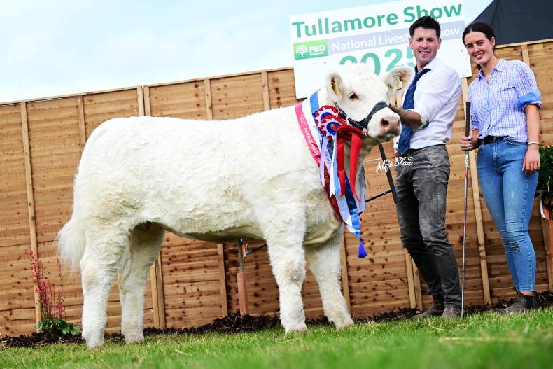 Sagesse sail to national Charolais glory