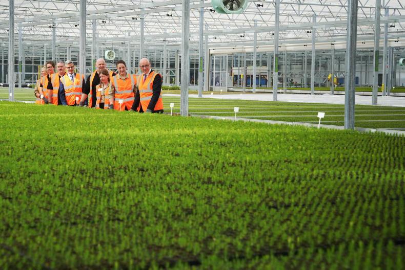 UK’s largest glasshouse opens in Scotland