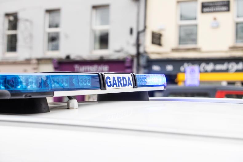 Cow shot in Ballymahon town on safety grounds