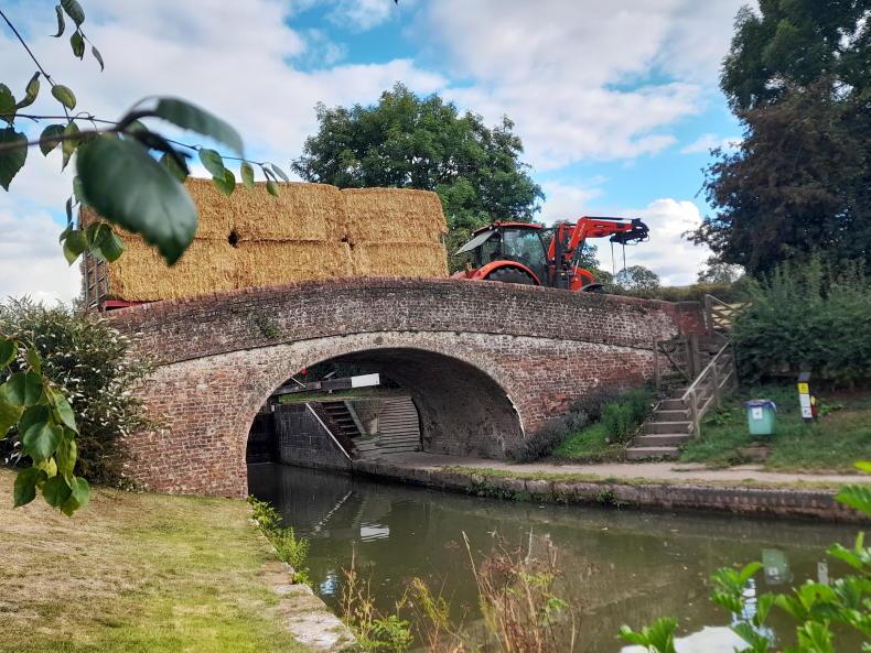 Farmer Writes: Holidays offer chance to compare to home