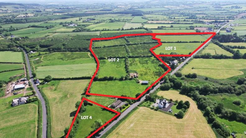Golden Vale farm gem on 39.8ac has easy road access