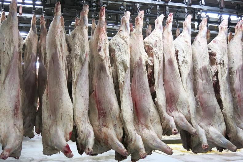 JBS results hit by US cattle shortage 