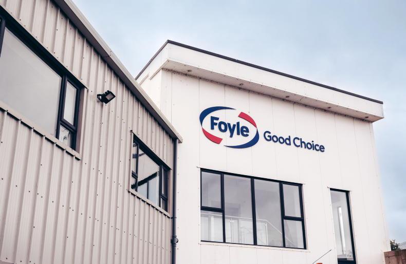 Over £20m of profit at Foyle Food Group