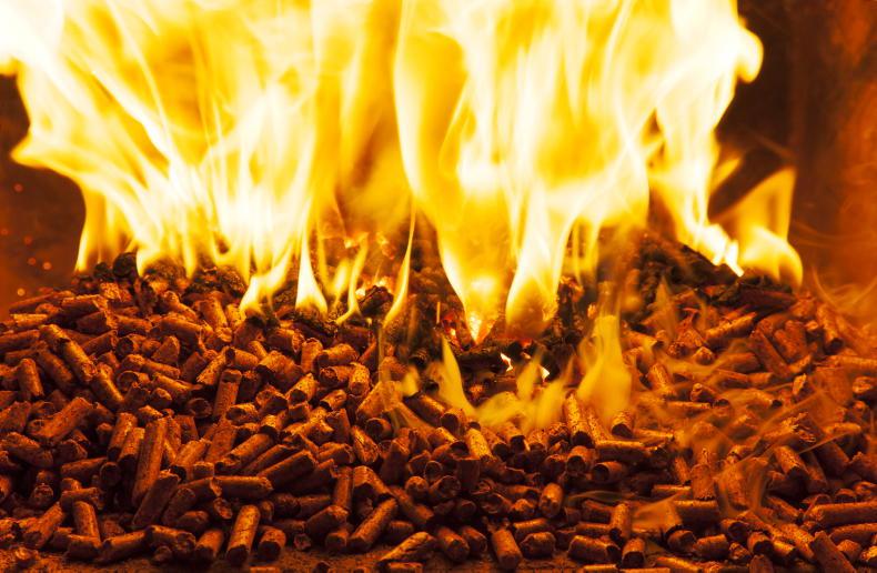 Roscommon biochar firm bags €1.2m ALDI deal  