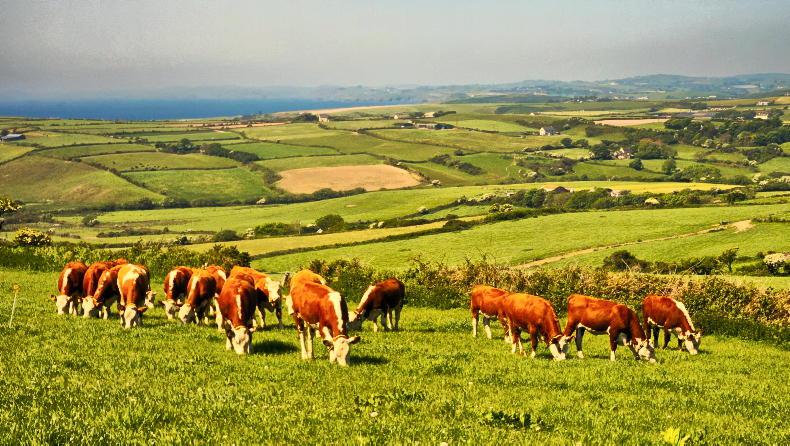 Excess grass and regional droughts