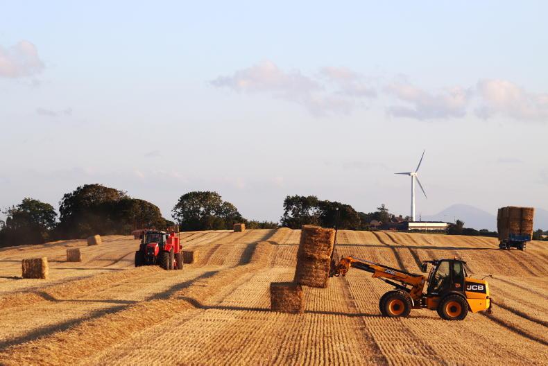 NI must not forget our cereal sector