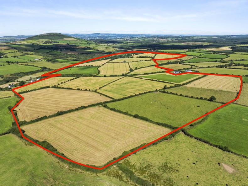 Farmland prices jump in Kilkenny