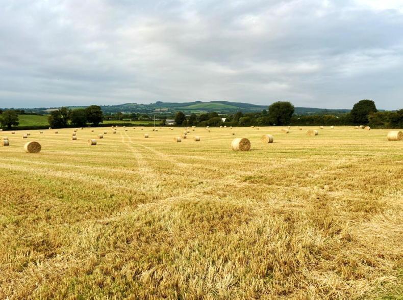 Laois: land price falls by 9% 