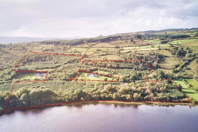 Leitrim: lower demand for planting land