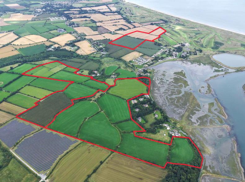 Cheap land is all gone in Co Louth