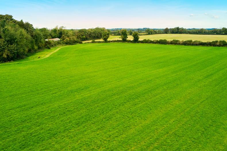 Meath: sizzling hot year in the Royal County