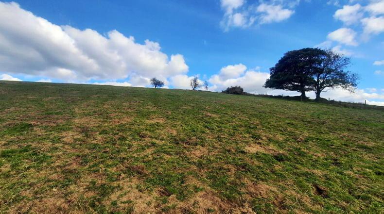 Sligo: steady prices in Yeat’s country