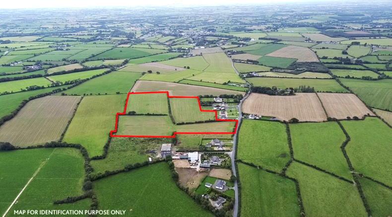 Wexford: little change reported from south east