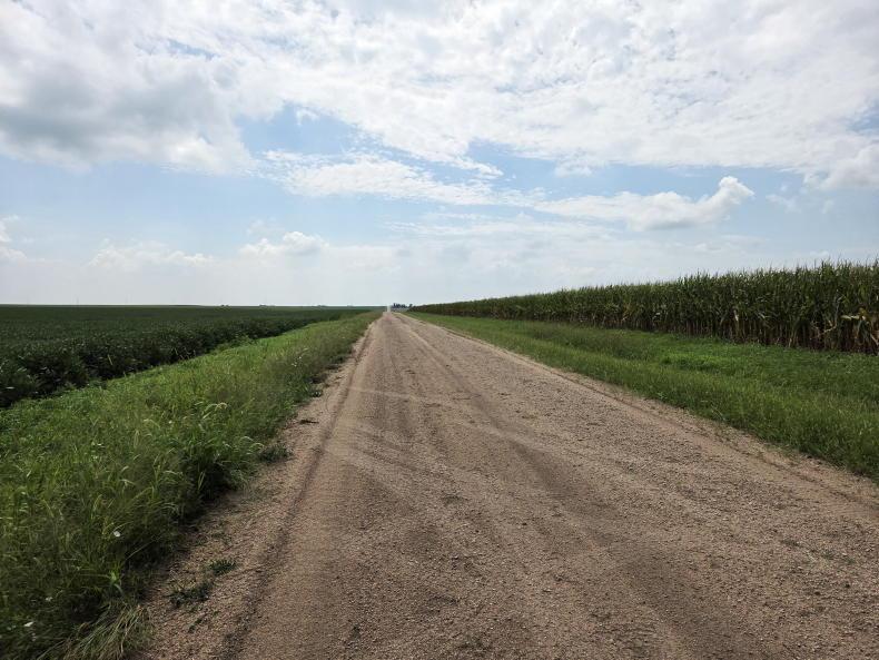 Grain trends: US Crop Tour confirms big US maize crop