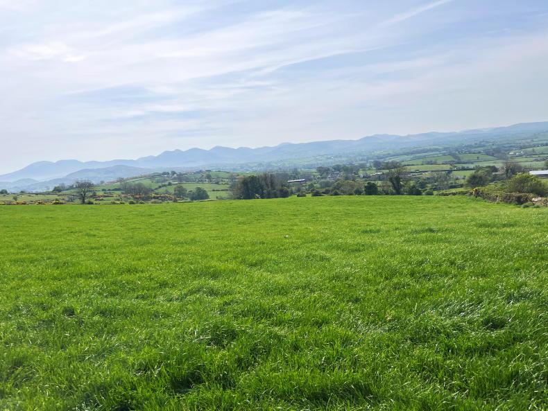 News in-brief from Northern Ireland