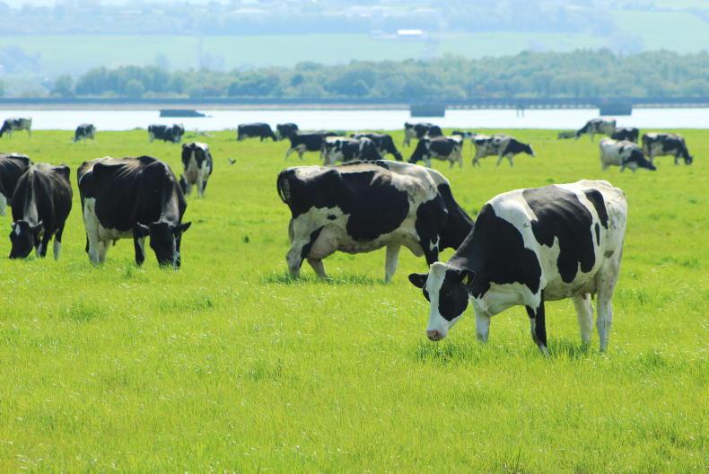 Co-ops take prices down ahead of autumn