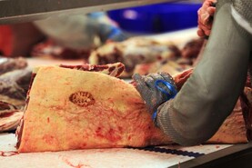 Beef trends: 10-year low for mid-year beef kill