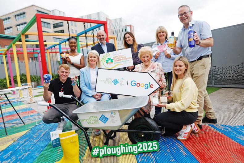 Small businesses take centre stage at Ploughing’s Local Enterprise Village