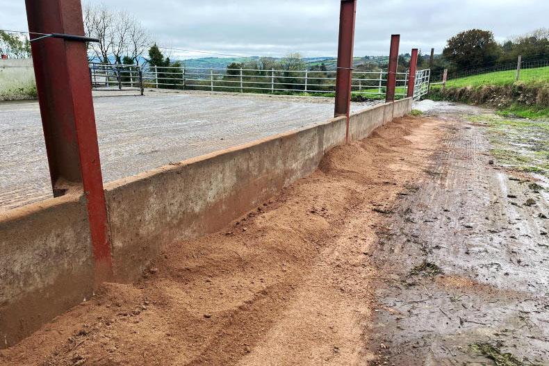 Dairy Management: filling the grass deficit