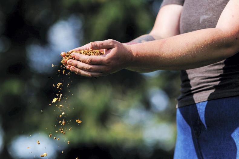 Farmer Time programme urges primary schools to take part