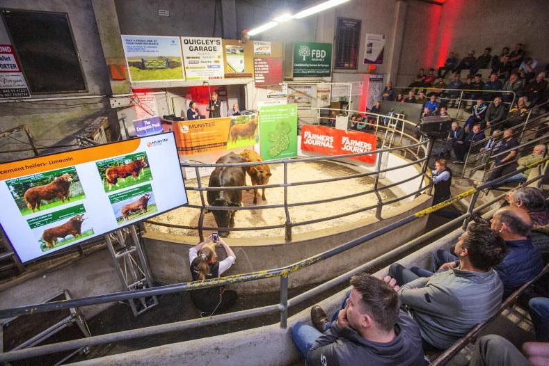 Watch: this week in photos as harvesting and sales unfold, and skills are shared