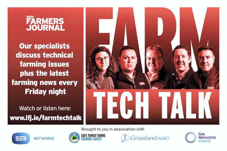 Farm Tech Talk: hogget sales, nitrates latest and July milk prices