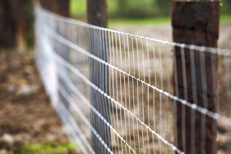 Farm fencing costs: can a project be completed under budget?