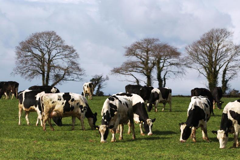 Aurivo co-op leads for a third month 