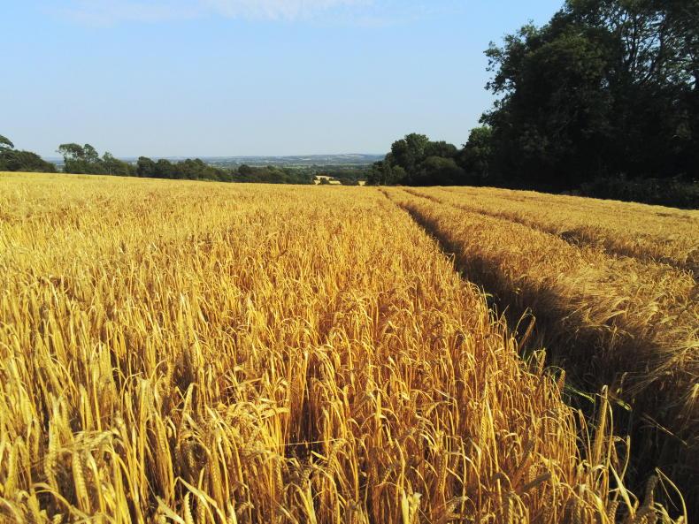 EU-US trade deal will have negative impact on tillage sector - IFA